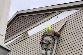 Best Siding for New Construction  in Clearwater, FL